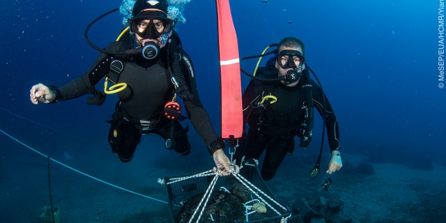 Divers lifting wooden pulley lifts from the wreck site.