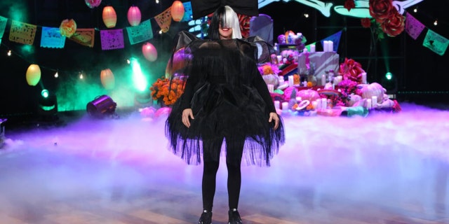 Ellen DeGeneres dressed as the Australian singer-songwriter Sia in 2016.