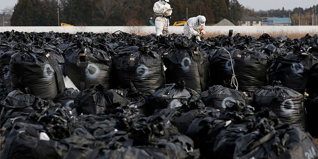 Plastic bags containing greenery collected during decontamination efforts after the 2011 Japanese nuclear disaster were washed down a river during Typhoon Hagibis.