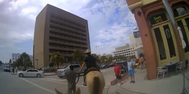 The Galveston Police Department released body camera footage on Wednesday the controversial arrest involving two mounted police officers.