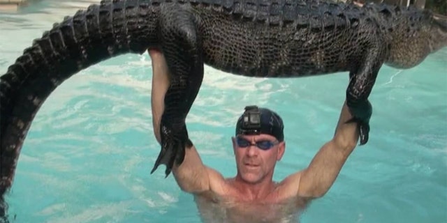 Paul Bedard of Gator Boys Alligator Rescue in Florida chronicled Tuesday’s rescue of a 9-foot alligator from a pool in a series of photos on his Instagram page.