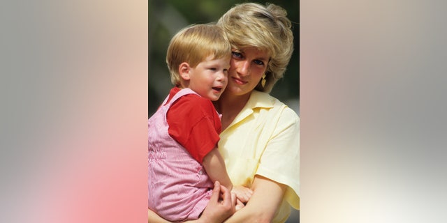 Diana, Princess of Wales, with Prince Harry on holiday in Majorca, Spain in 1987. (Photo by Georges De Keerle/Getty Images)