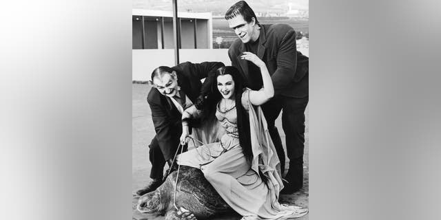 Lily Munster, played by Yvonne De Carlo (1922 - 2007) rides a giant turtle in a publicity still for the comedy-horror TV series 'The Munsters', circa 1965. With her is Al Lewis (1923 - 2006, left) as Grandpa and Fred Gwynne (1926 - 1993) as Herman Munster.