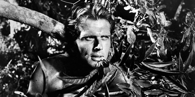 American actor Ron Ely plays the title role in an episode of the US TV series 'Tarzan', circa 1967. (Photo by Silver Screen Collection/Getty Images)