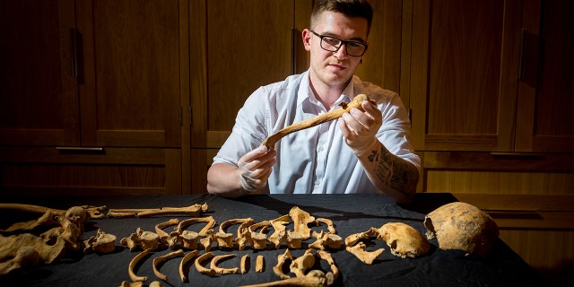Historic Royal Palaces curator Alfred Hawkins inspects one of the skeletons uncovered at the Tower of London