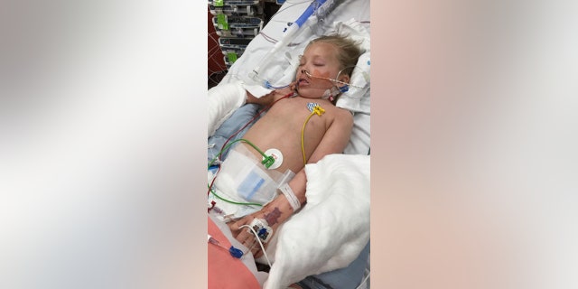 Brogan in the hospital with meningitis.