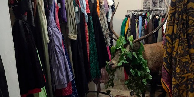 A deer stands by clothes after crashing into a shop in Cortina D'Ampezzo, Italy, Tuesday, Oct. 1, 2019.