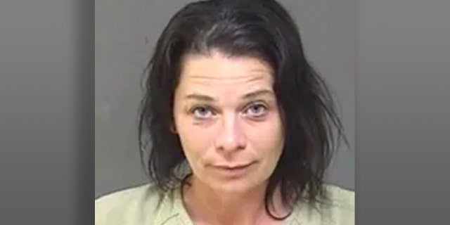 Janet Gartner, 41, was sentenced to 11 years in prison on Monday for selling crystal meth to make enough money to send her child to college.