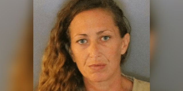 Christina Perkins, 37, was arrested after allegedly leading police at about six hours of pursuit through the Big Lot ceiling in Port Charlotte, Florida, on Thursday.