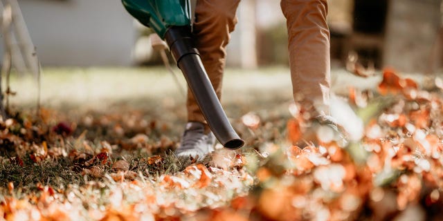 Just don't blow them onto a neighbor's lawn.
