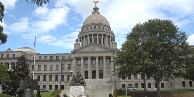 Outside of the Mississippi State House. Mississippi State Senator Michael Watson said that he has drafted new legislation in hopes to improve the state's E-verify mandate after ICE raids last summer.