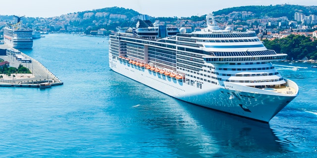 The MSC Divina cruise ship (pictured) was heading from Palermo to Cagliari