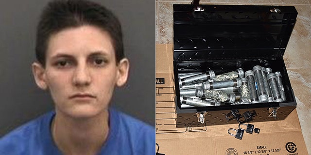 Mugshot for Michelle Louise Kolts, 27, of Wimauma, Fla., who was arrested authorities said after her parents found two dozen pipe bombs in her bedroom.<br><br>