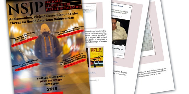 A report released on Wednesday looked at the impact of the pro-Palestinian group National Students for Justice in Palestine on college campuses.