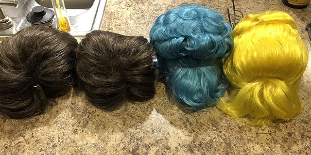 An image of the wigs reportedly stolen from Disney World.