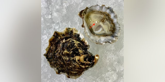The rare find marks the latest instance of a New Jersey diner finding a pearl inside an oyster in recent years.