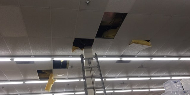 Investigators said when a manager told Kristina Perkins police were on the way, she crawled through the Big Lots ceiling for hours.