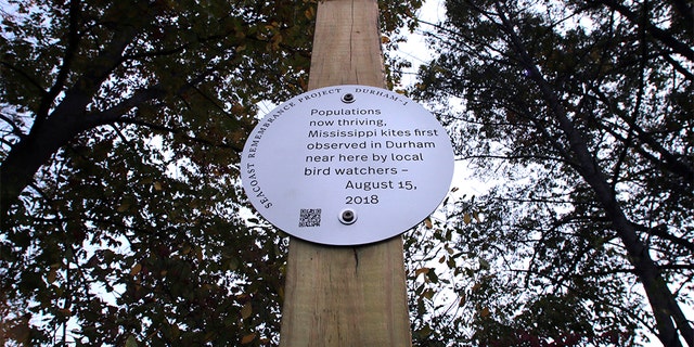 A sign displayed under oak trees along the banks of Mill Pond in Durham, N.H. (AP Photo/Charles Krupa)