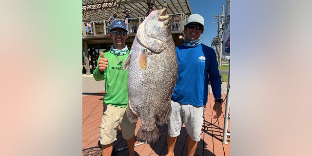 Jorgensen and Blake Rigby with the massive tripletail at Cypress Cove Marina.