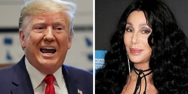 Cher bashed Donald Trump's suggestion that medial workers are stealing medical supplies amid the coronavirus pandemic.