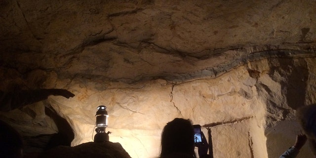 The picture shows the Cretaceous-Palaeogene boundary at Geulhemmerberg in the Netherlands, where the boundary clay samples were taken. The event bed is clearly visible as a grey clay-rich layer, between the otherwise yellowish carbonate sediments. It was thought to have been laid down during calm periods between strong storm events. (Credit: Michael Henehan)