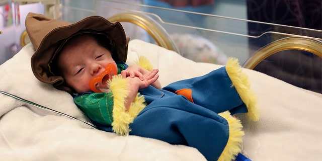 Look at the scarecrow! (Cook Children's)