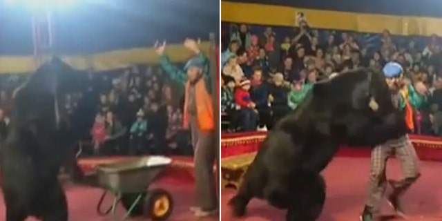 Ruslan Solodyuk was performing with Yashka the bear in Olonets as apart of an act when the bear turned on him and attacked. 