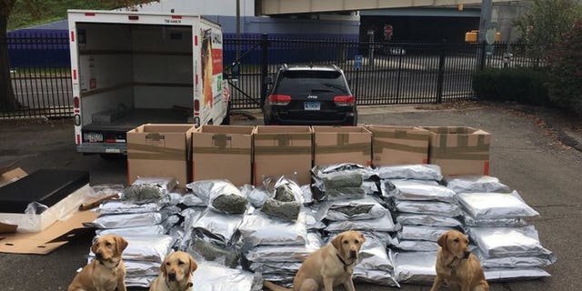 Police K-9 pose with seized marijuana from their big traffic bust Friday on I-95.