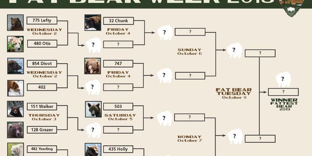 The first matches open Oct. 2, 6 a.m. AKDT between 775 Lefty and fan-favorite 480 Otis, who won two years in a row, and 854 Divot verse 402 – using the park’s numbers for the bears plus any nickname.
