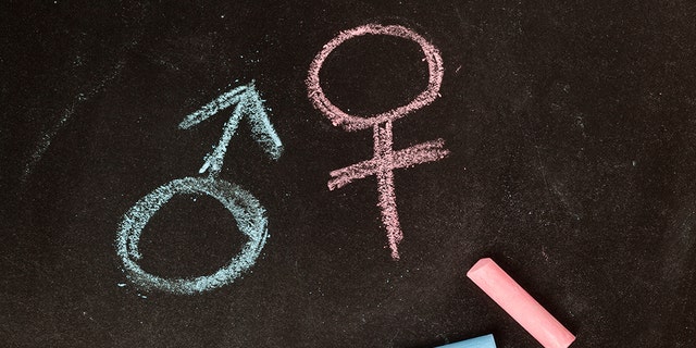 A new wrinkle has been added to the ongoing battle regarding gender transitions for minors, as a group "dedicated to the health of all children" declared anyone under 18 doesn’t have the agency to decide they want a tattoo but approves of "gender-affirming care." 