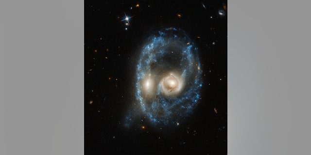 This new image from the NASA/ESA Hubble Space Telescope captures two galaxies of equal size in a collision that appears to resemble a ghostly face. This observation was made on 19 June 2019 in visible light by the telescope’s Advanced Camera for Surveys. Residing 704 million light-years from Earth, this system is cataloged as Arp-Madore 2026-424 (AM 2026-424) in the Arp-Madore “Catalogue of Southern Peculiar Galaxies and Associations”.