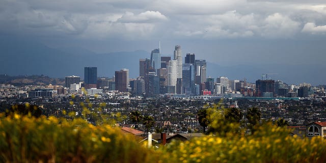 Los Angeles City Council has approved an ordinance that will ban "no-fault" evictions.