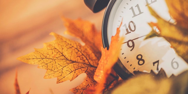 Daylight Saving Time during the fall is the time when millions turn back the clock.