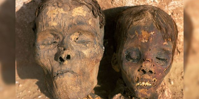 One of the mummies that provided arterial samples came from Dakhla Oasis in Egypt, as did the mummies pictured here. (Credit: Alamy)