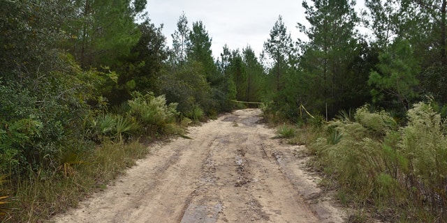 The human remains were discovered about 200 yards into a trail at the Ocala National Forest, according to the incident report.