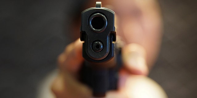 A man who was trying to quiet down his neighbors with a gun in Phoenix, Ariz., allegedly ended up shooting himself in the face, police said.