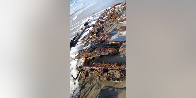 The wreck was swallowed up by the sands shortly after its discovery. (The Wreck Tiki Bar and Food)