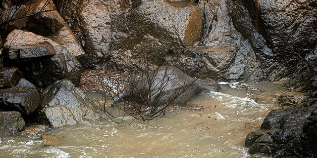 This photo by Thai News Pix taken on October 5, 2019 shows a dead elephant at the bottom of a waterfall after it fell to its death at Khao Yai National Park in central Thailand. (Photo by PANUPONG CHANGCHAI/THAI NEWS PIX/AFP via Getty Images)