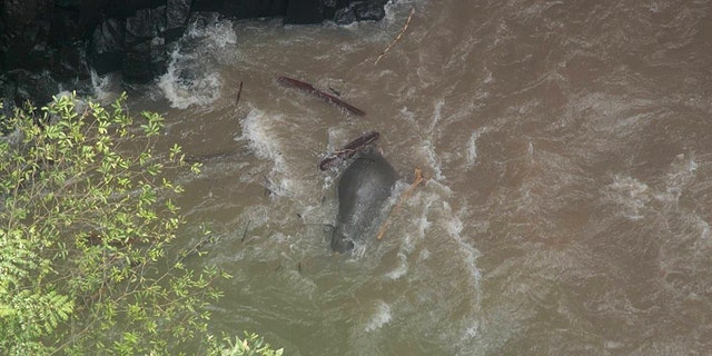 This photo taken by the Thailand Department of National Parks on October 5, 2019 shows a dead elephant at the bottom of a waterfall after it fell to its death at Khao Yai National Park in central Thailand.