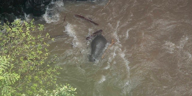 This photo taken by the Thailand Department of National Parks on October 5, 2019 shows a dead elephant at the bottom of a waterfall after it fell to its death at Khao Yai National Park in central Thailand.