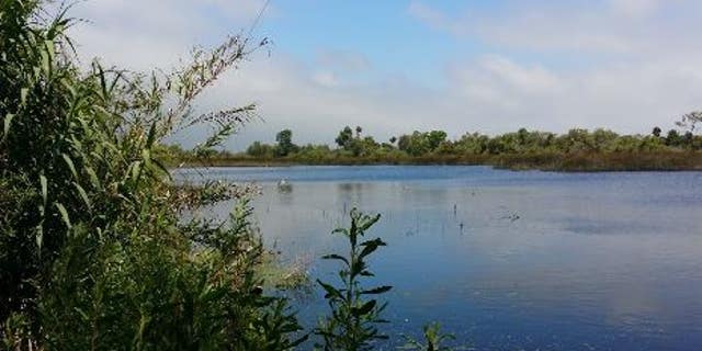 The Tijuana River Valley is located in San Diego along the U.S.-Mexico border.