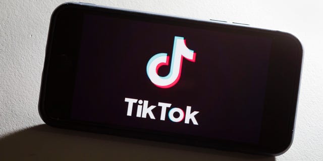 The TikTok logo on a smartphone display. (Thomas Trutschel/Photothek via Getty Images)
