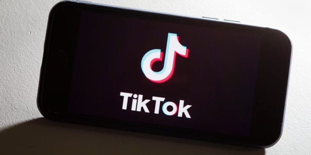 The TikTok logo on a smartphone display. (Thomas Trutschel/Photothek via Getty Images)