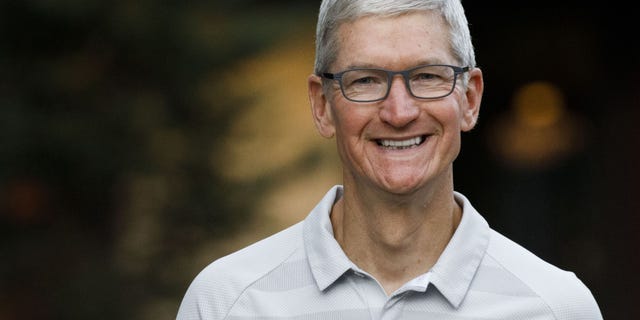 Tim Cook, chief executive officer of Apple Inc., is seen above. (Bloomberg via Getty Images)