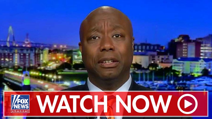 Tim Scott reacts to Twin Cities Trump protests