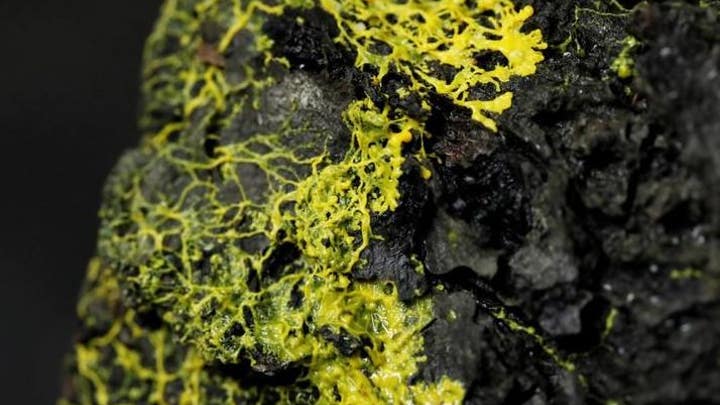 Fox News Flash top headlines for Oct. 17