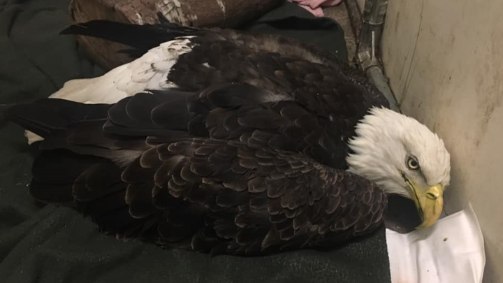 Fox News Flash top headlines for Oct. 22