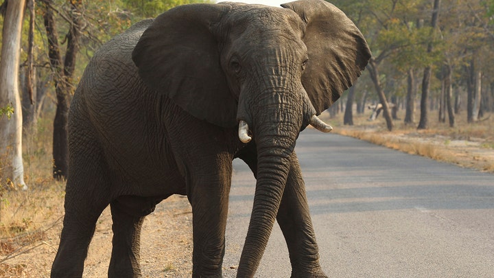 Fox News Flash top headlines for Feb. 17