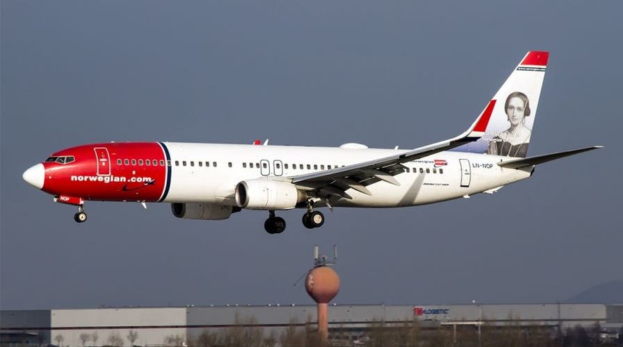 Norwegian airlines sale emotional support dog