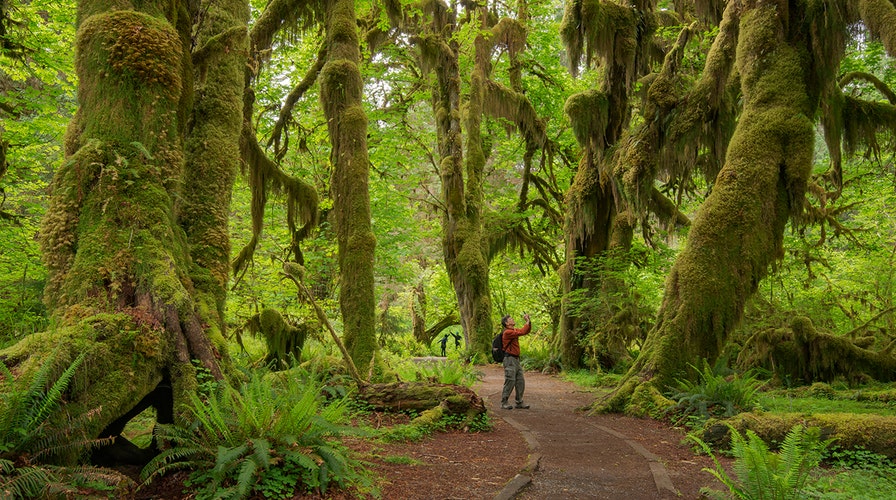 How social media impacts America's National Parks